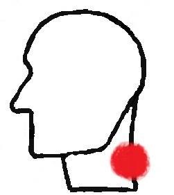 Logo von HYSS