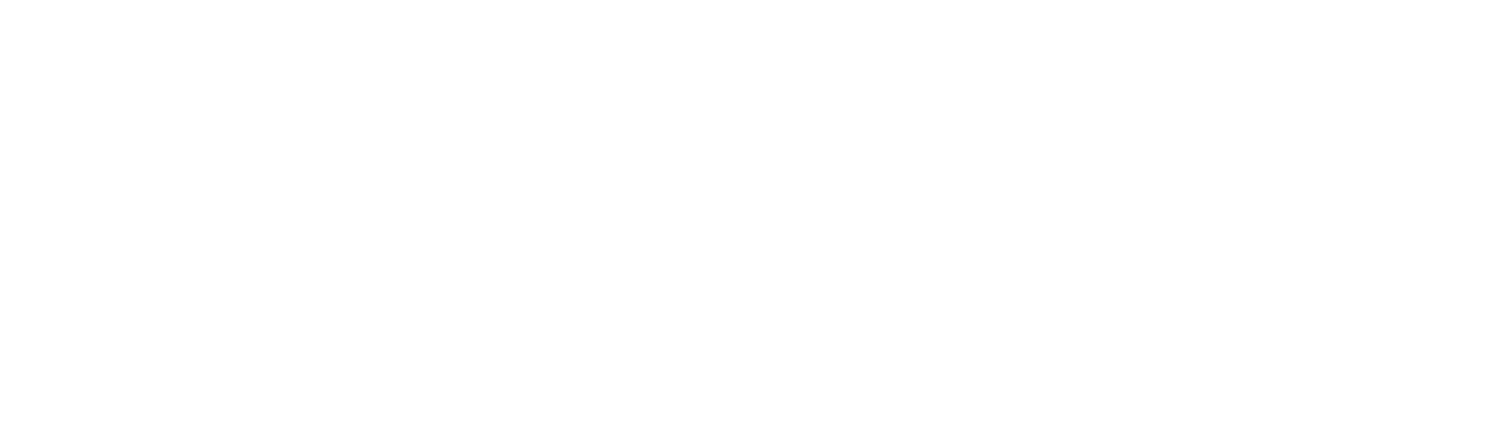 Logo von Neutron Star Systems