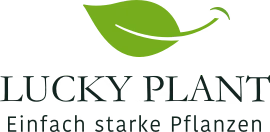 Logo von Lucky Plant