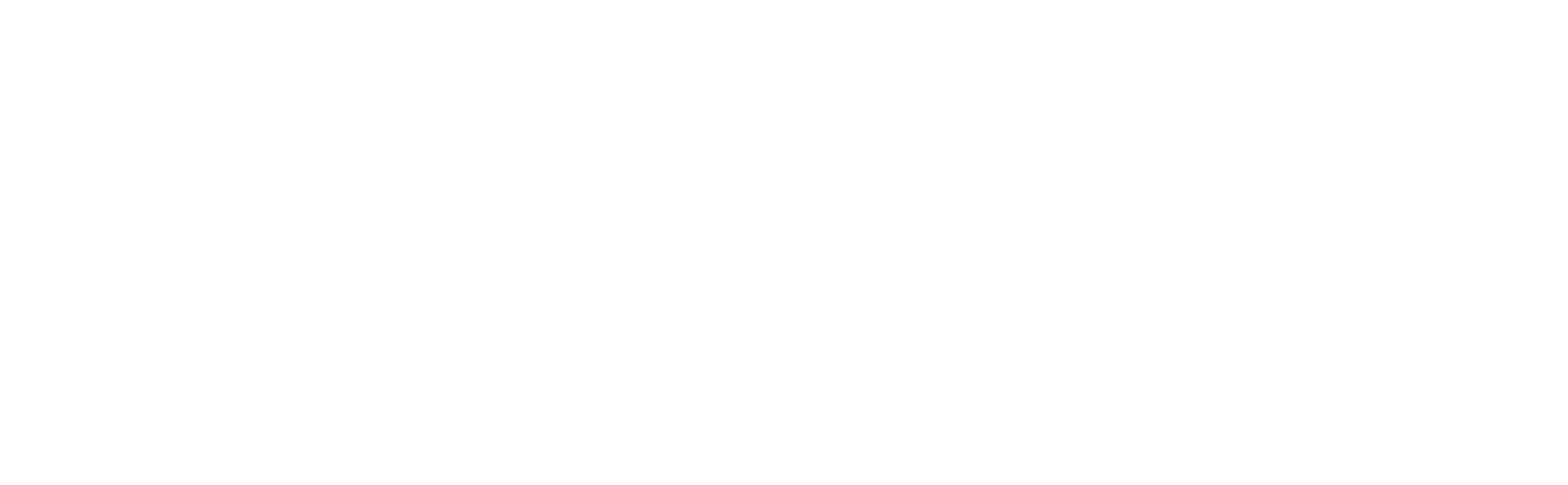 Logo von VeBoost