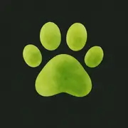 Logo von Mietzekater