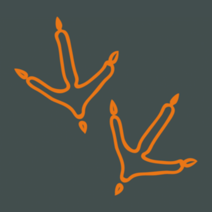 Logo von LandErfolg Lenglern