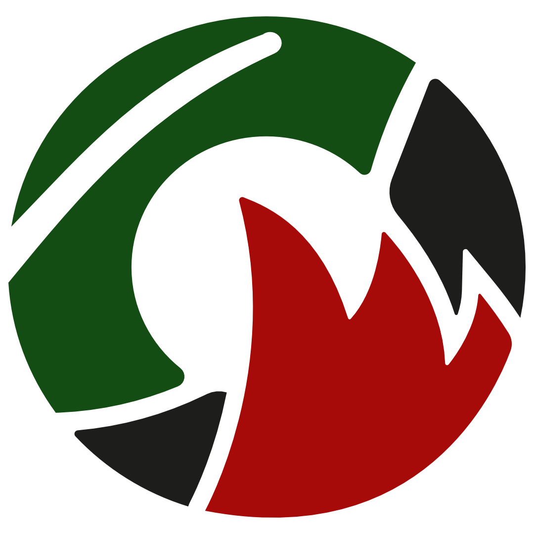 Logo von RecyCoal