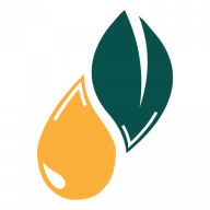 Logo von GST Global Sustainable Transformation