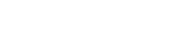 Logo von SalOpt