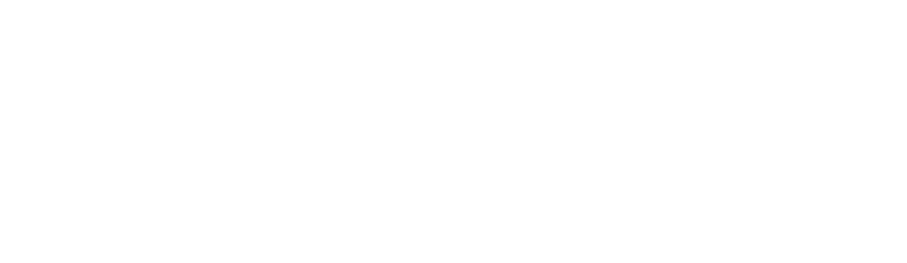 Logo von Bevel Software