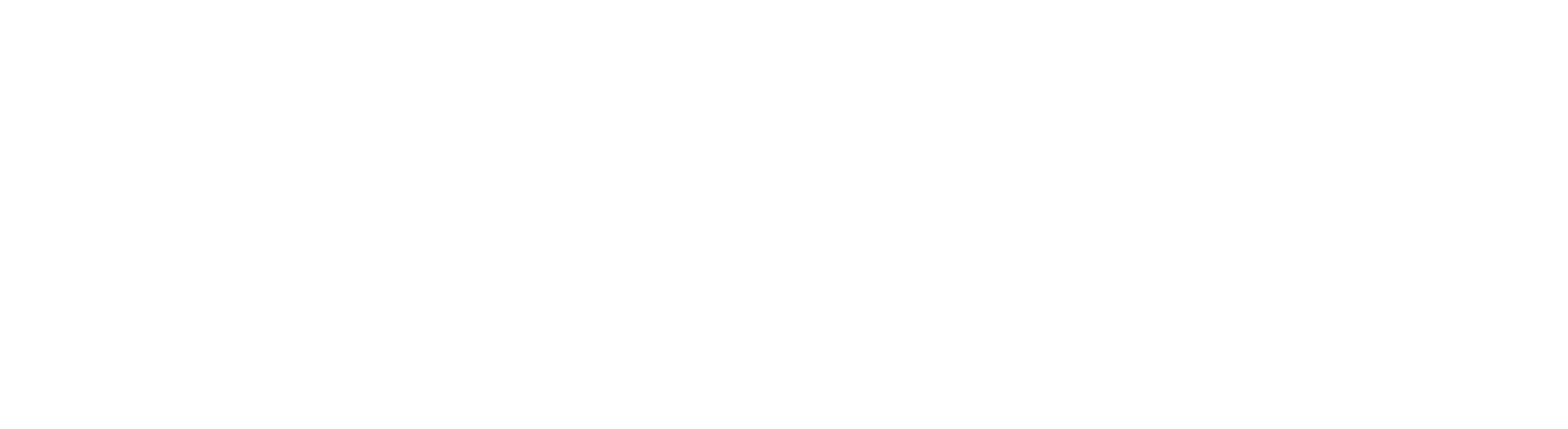 Logo von Sinaxys