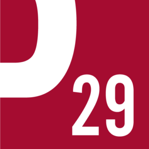 Logo von Projekt 29