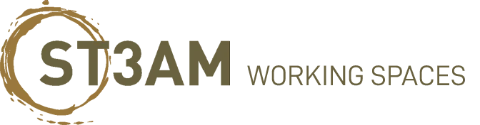 Logo von ST3AM