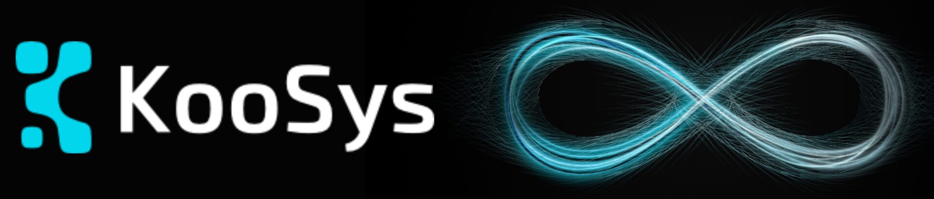 Logo von KooSys
