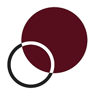 Logo von advisoryteam