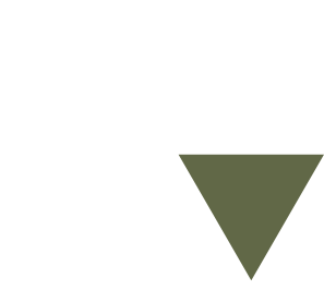 Logo von Oberon Systems