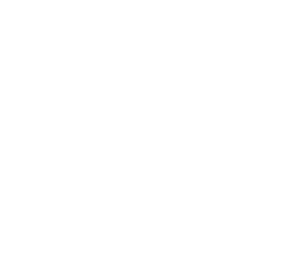 Logo von Minnt