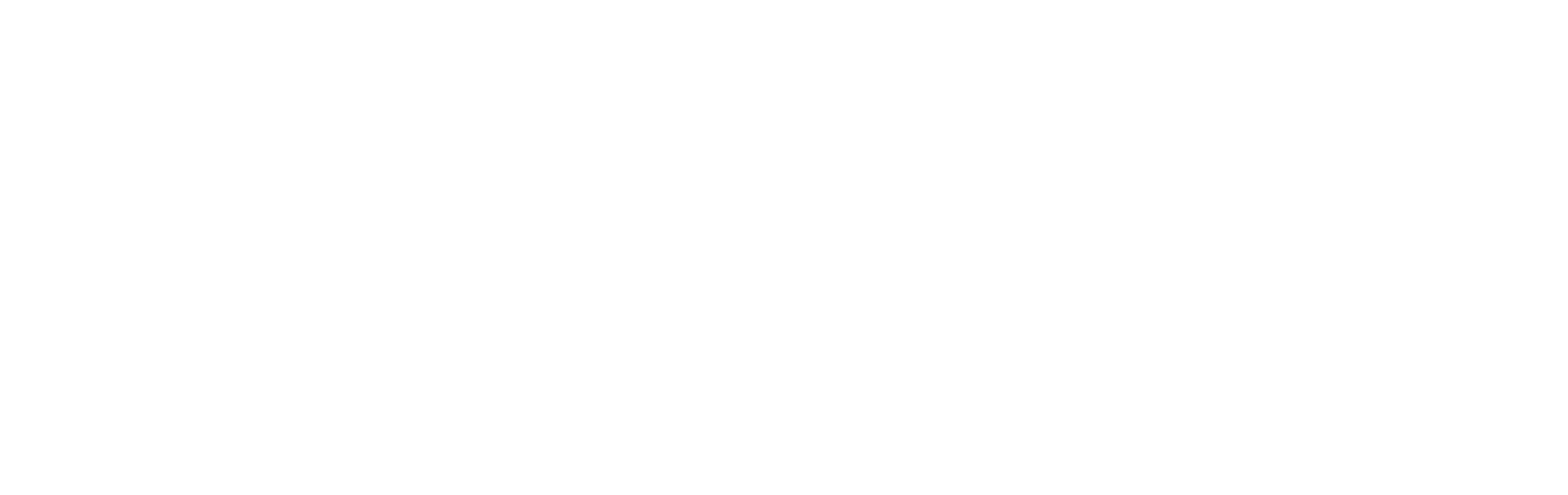 Logo von Pixel Maniacs