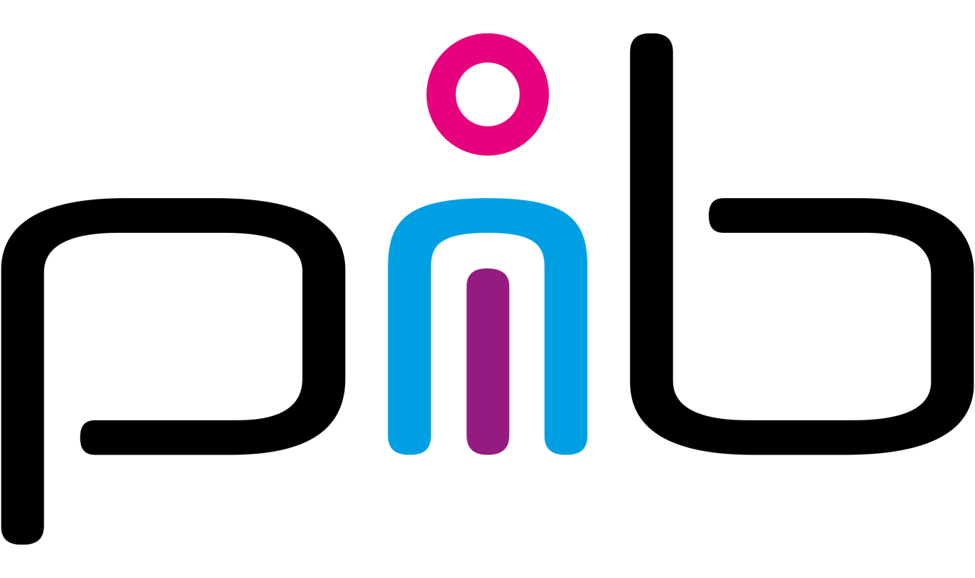 Logo von pib