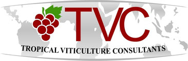 Logo von TVC Tropical Viticulture Consultants