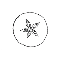 Logo von klaar - fruchtfermente