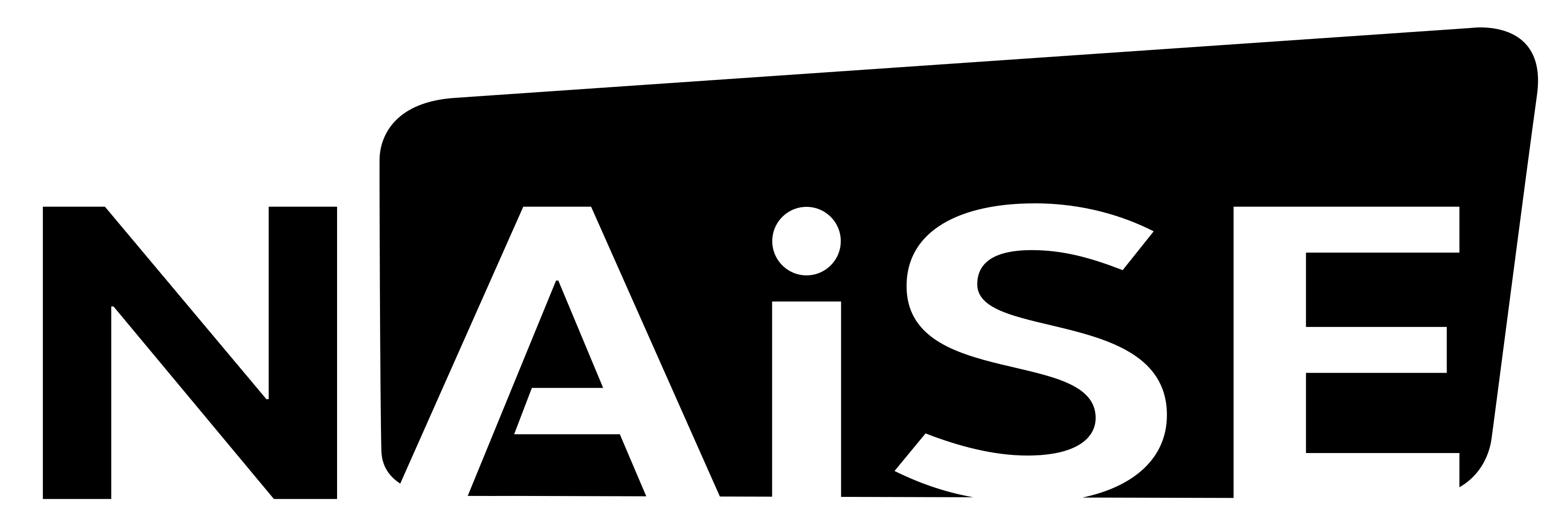 Logo von NAiSE