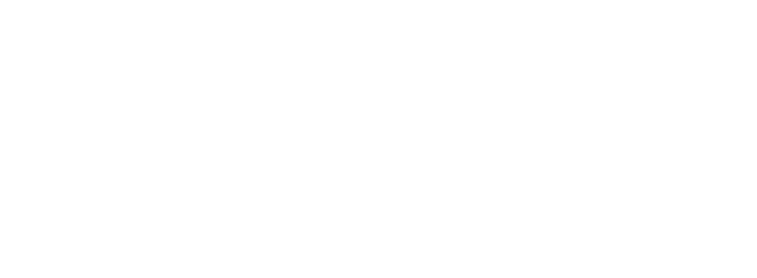 Logo von Salonkolumnisten