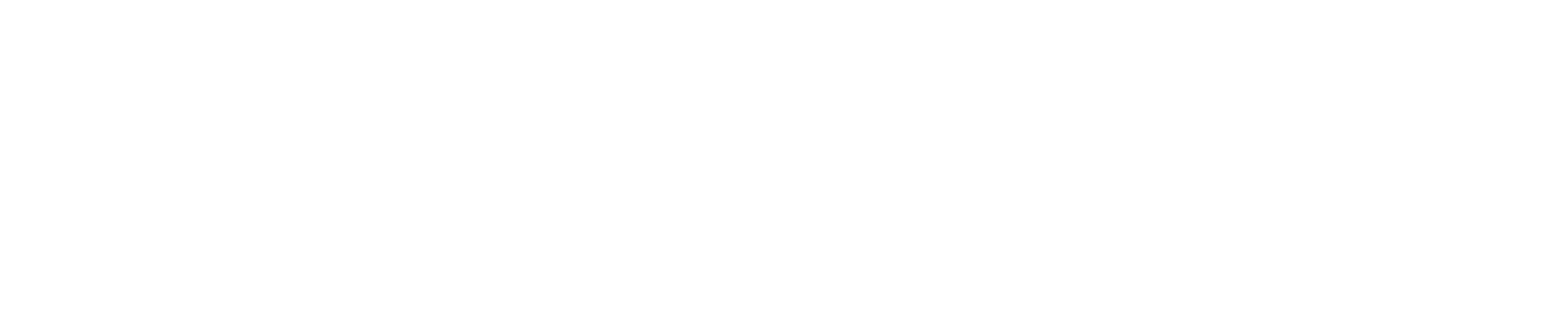 Logo von neXt Capacity