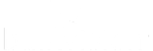 Logo von bulkvision