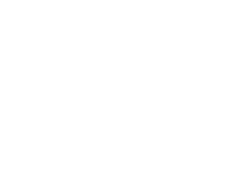 Logo von StrassenBLUES