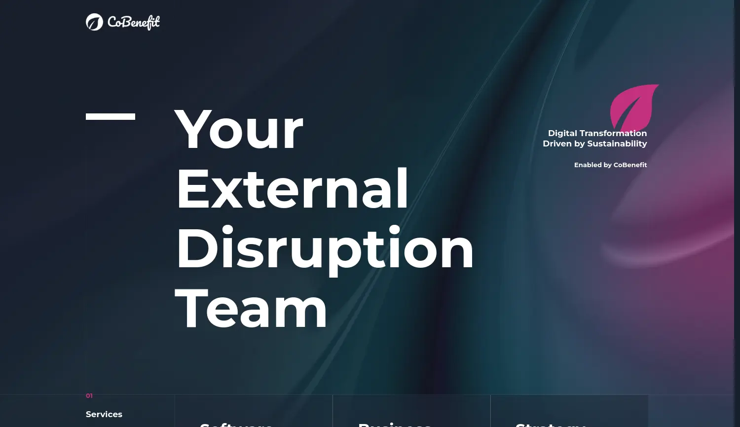 Website-Screenshot von CoBenefit