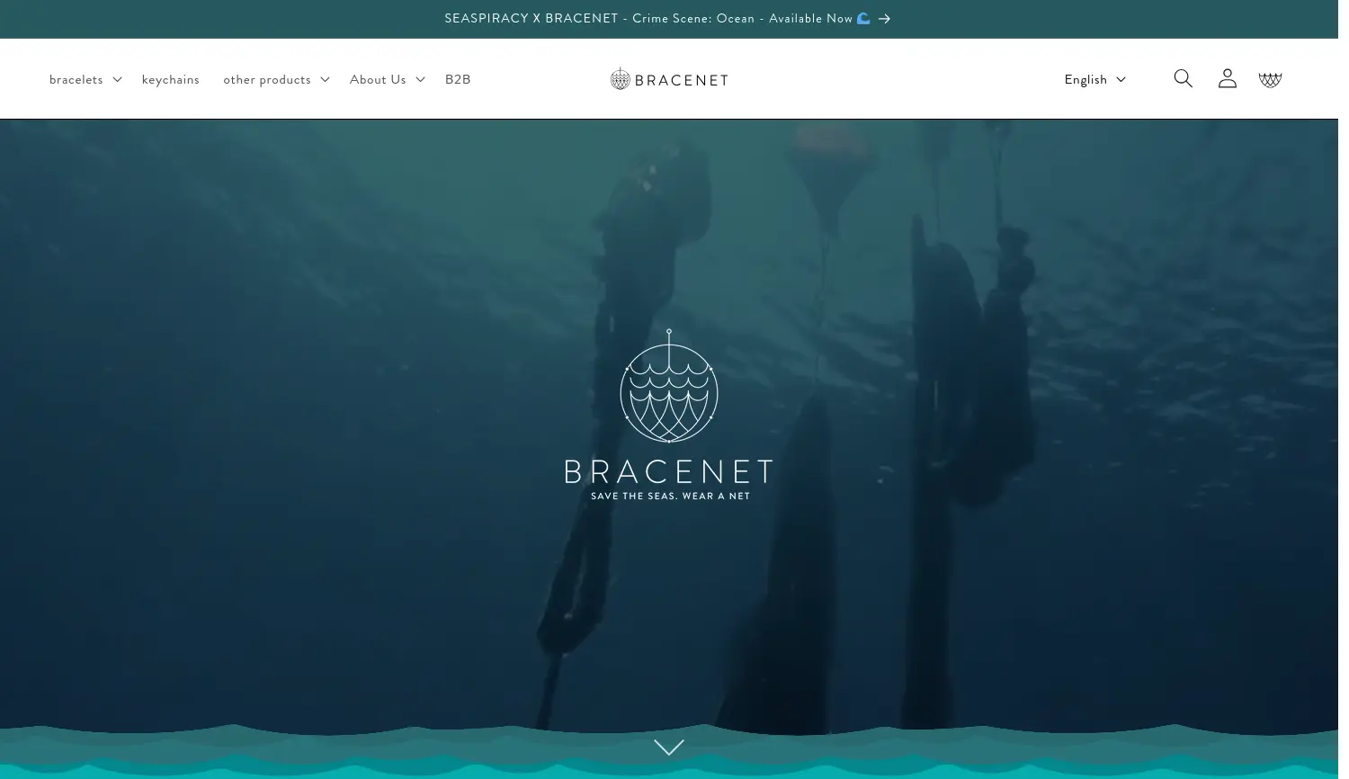 Website-Screenshot von BRACENET