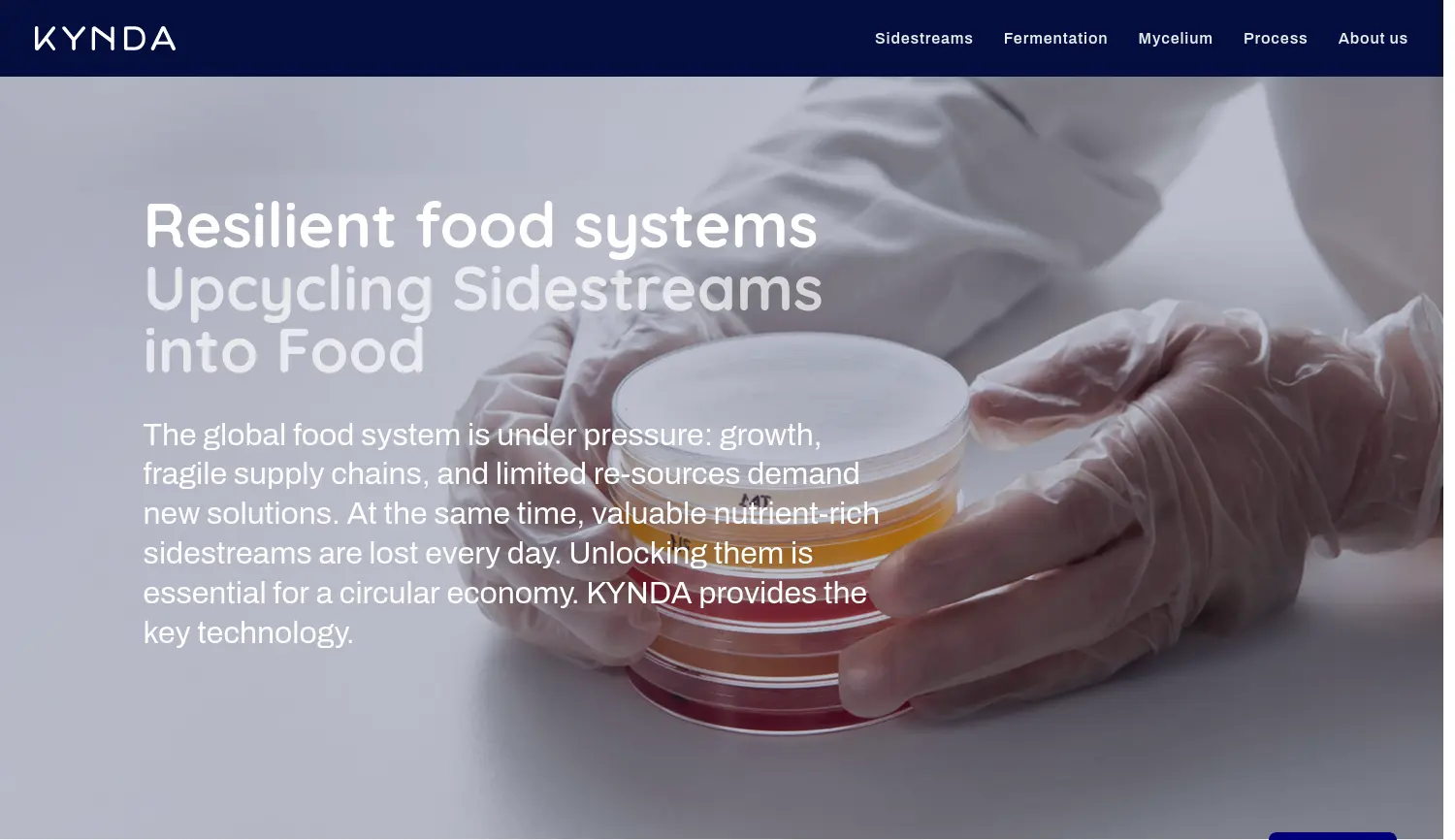 Website-Screenshot von Kynda