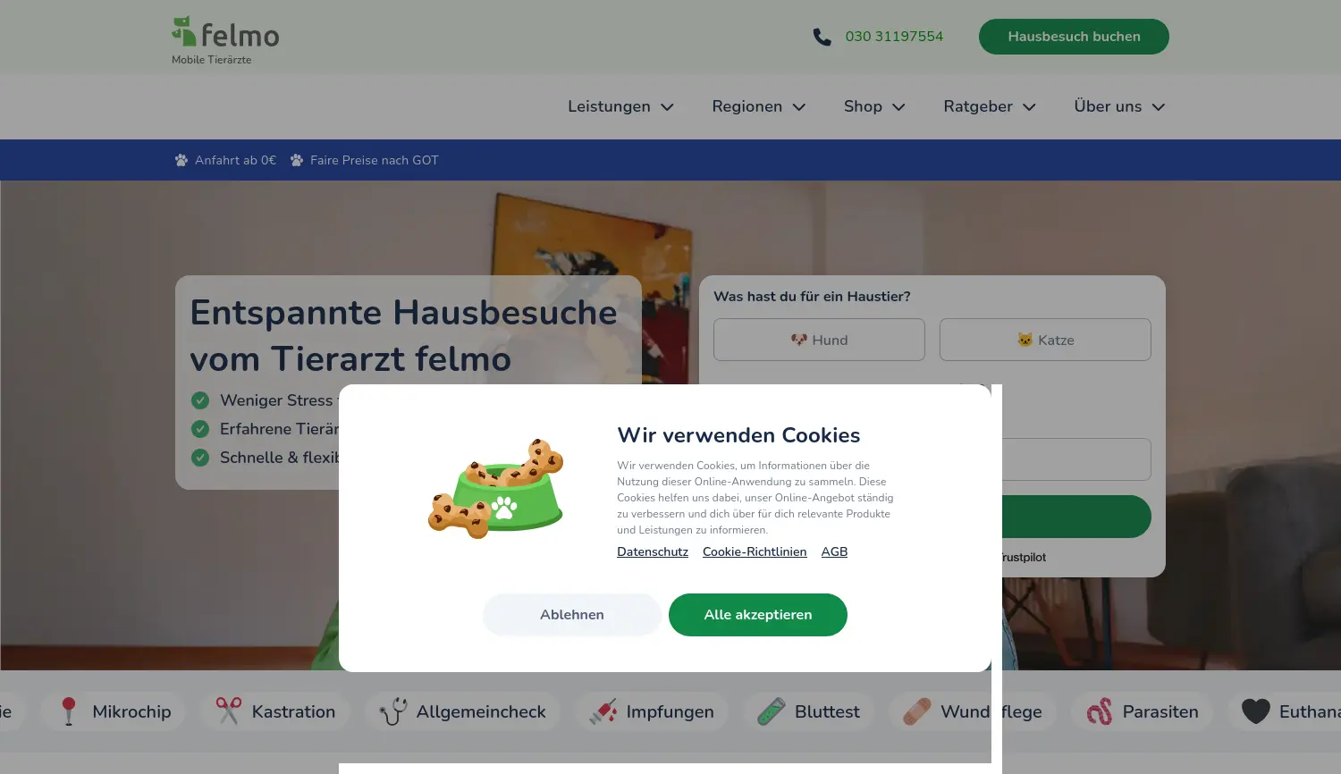 Website-Screenshot von felmo