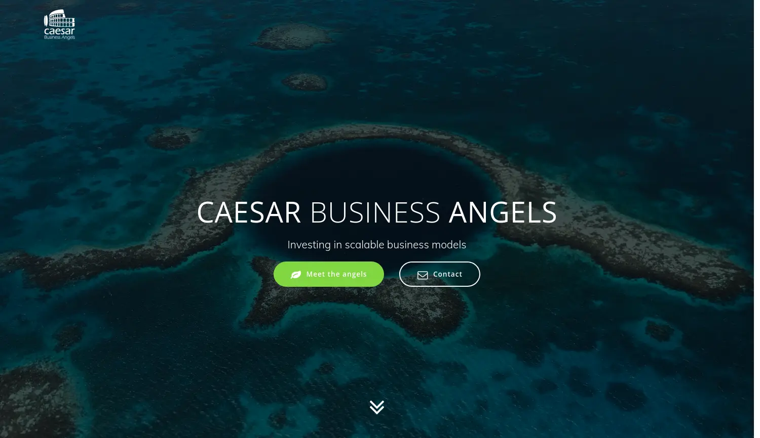 Website-Screenshot von Caesar Business Angels