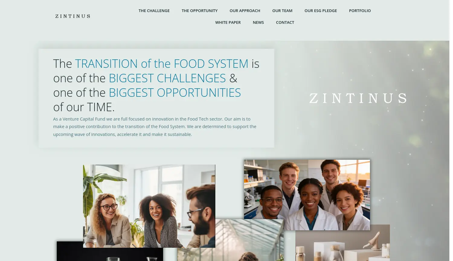 Website-Screenshot von ZINTINUS
