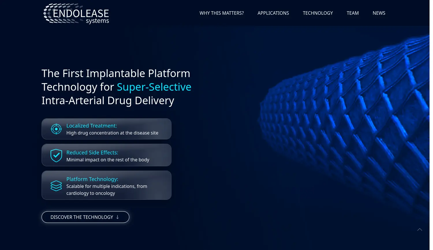 Website-Screenshot von Endolease