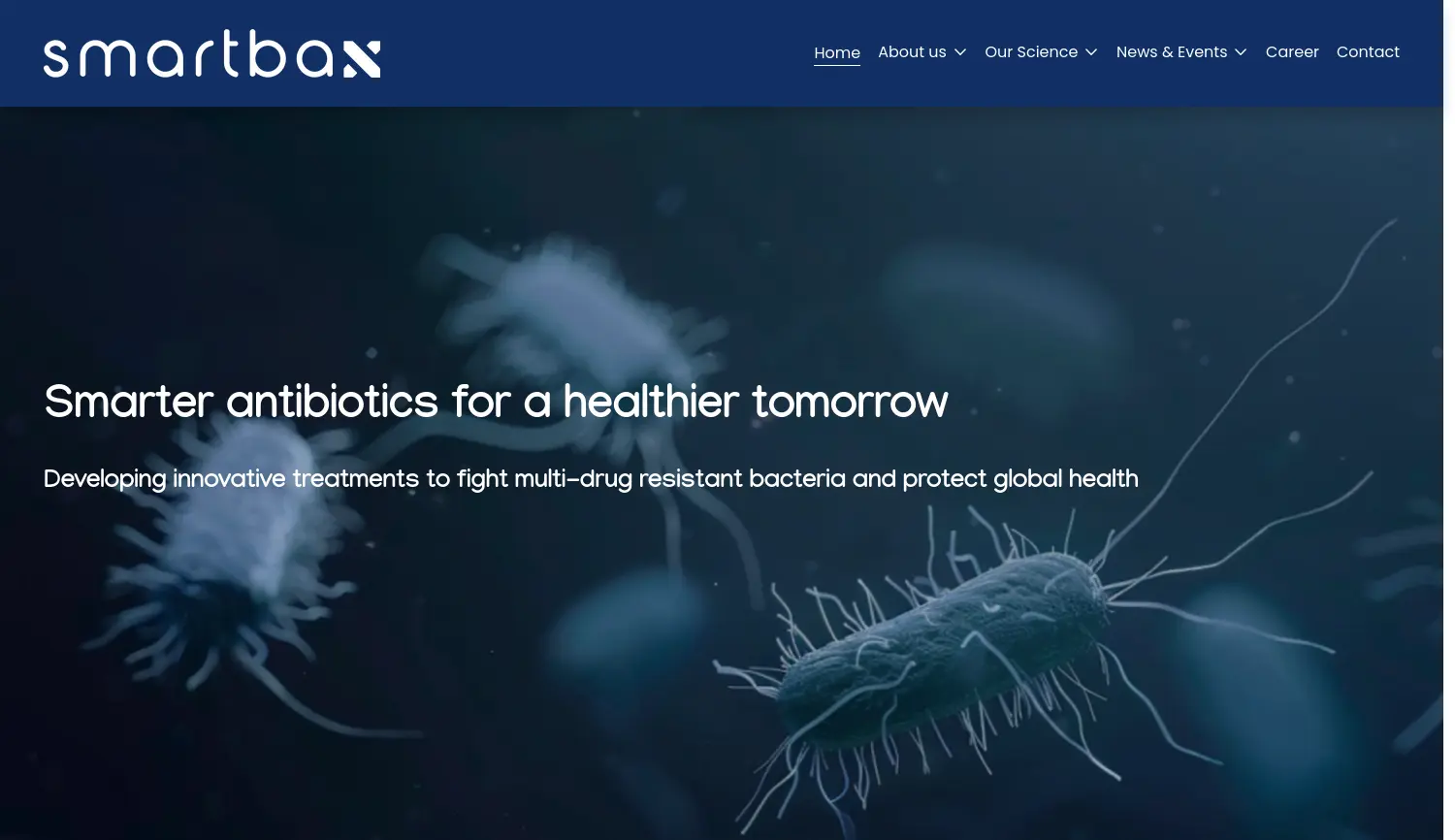 Website-Screenshot von smartbax