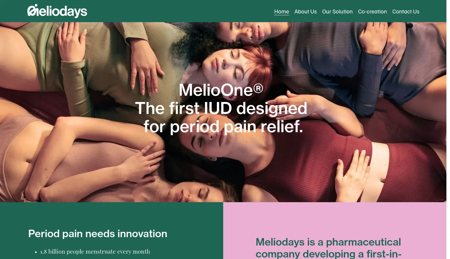 Website-Screenshot von Meliodays