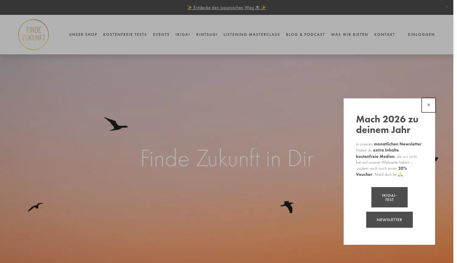 Website-Screenshot von Finde Zukunft