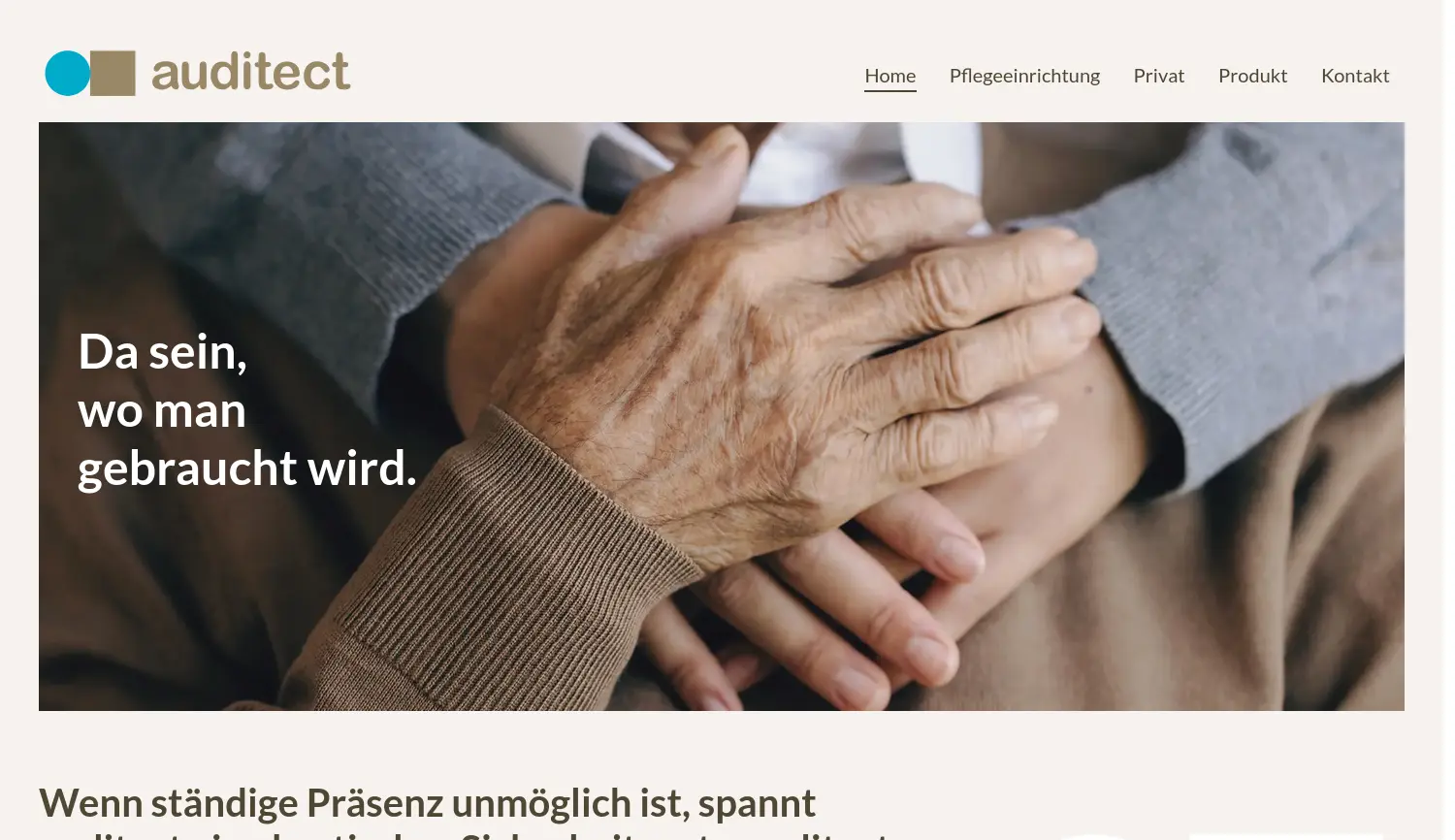 Website-Screenshot von auditect