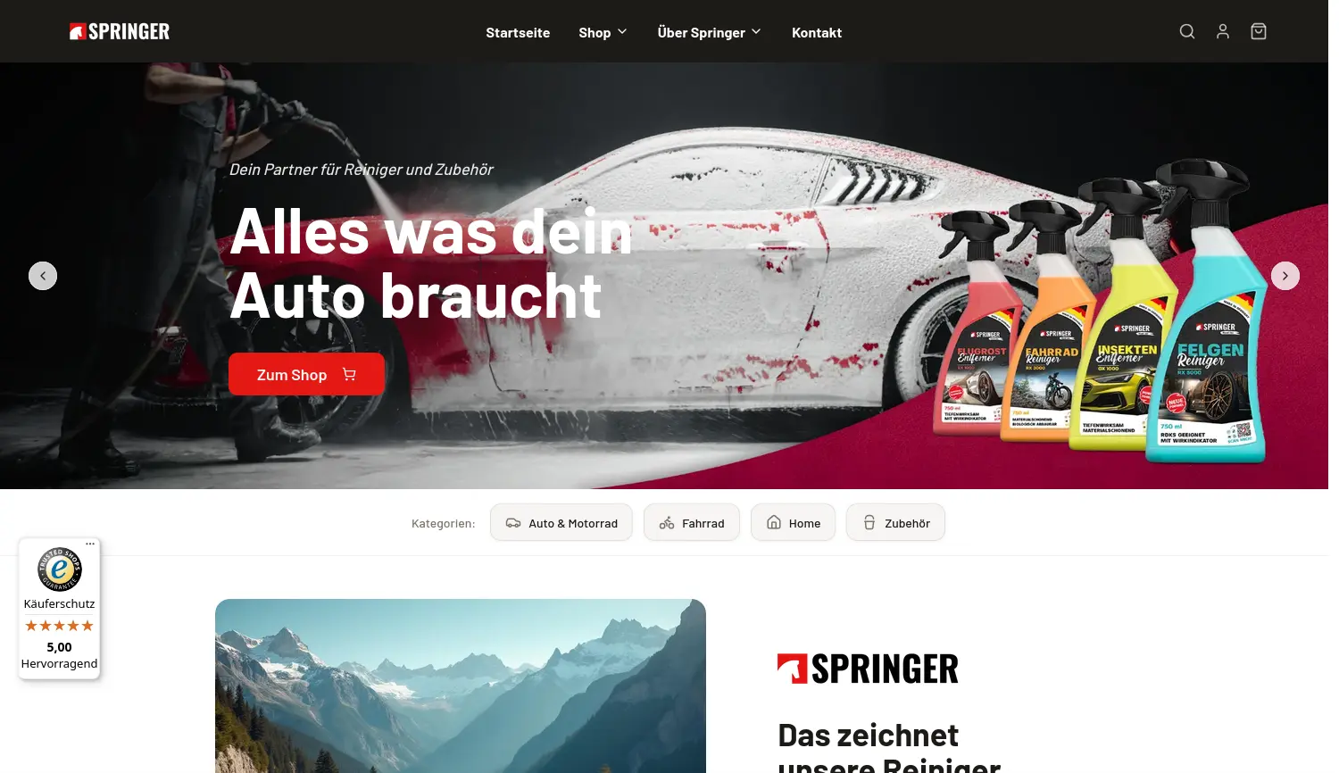 Website-Screenshot von Springer