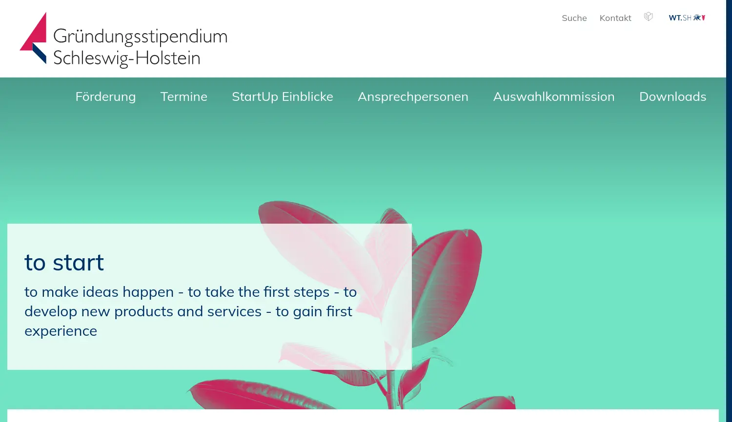 Website-Screenshot von Gründungsstipendium SH