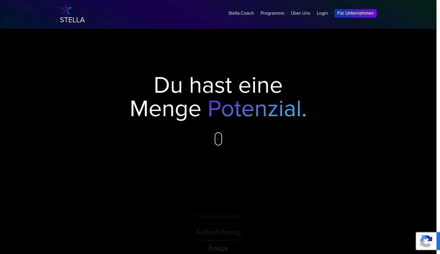 Website-Screenshot von STELLA Coaching