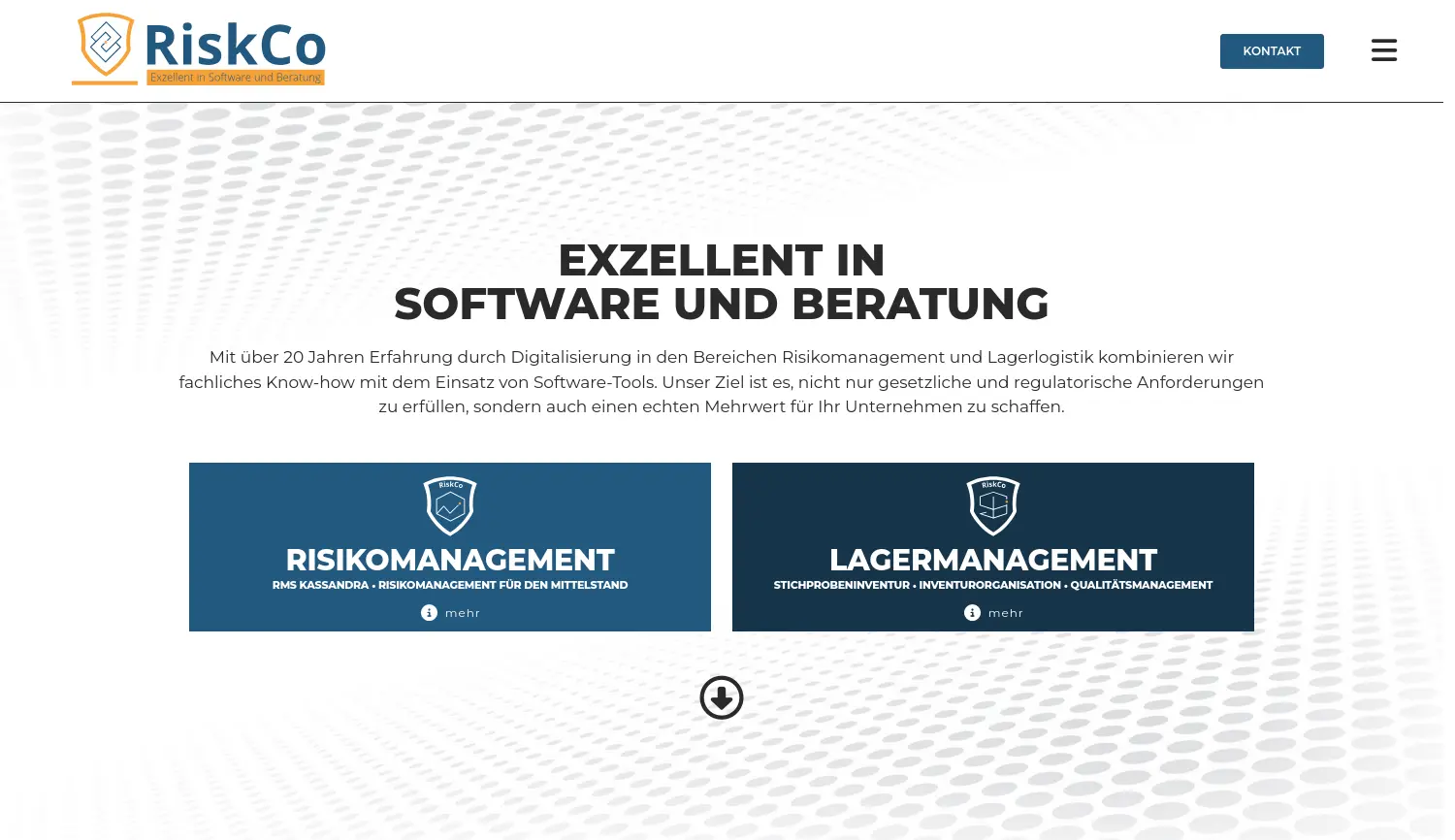 Website-Screenshot von RiskCo