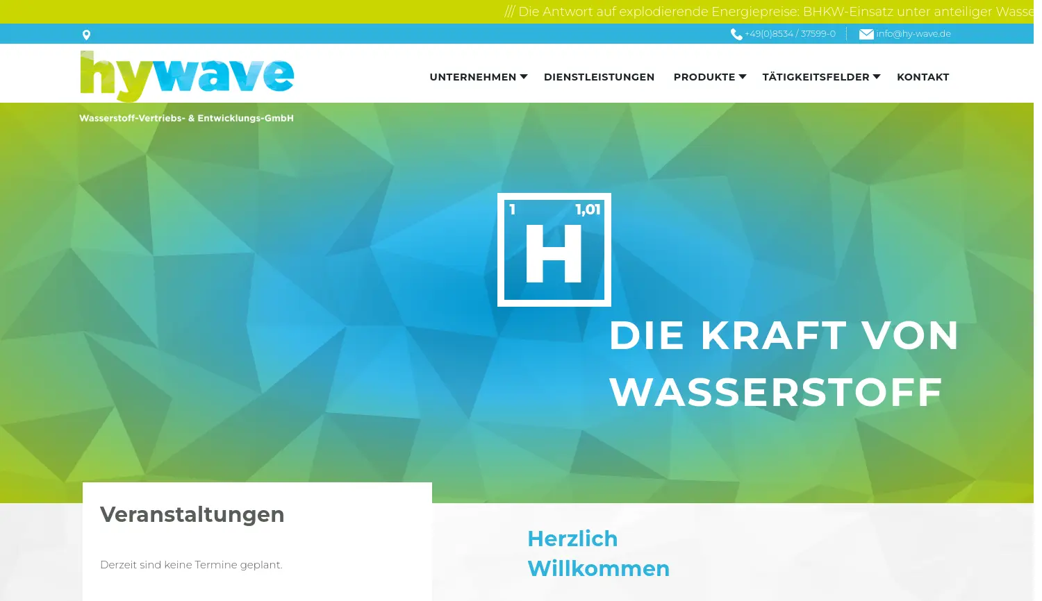 Website-Screenshot von hy-wave
