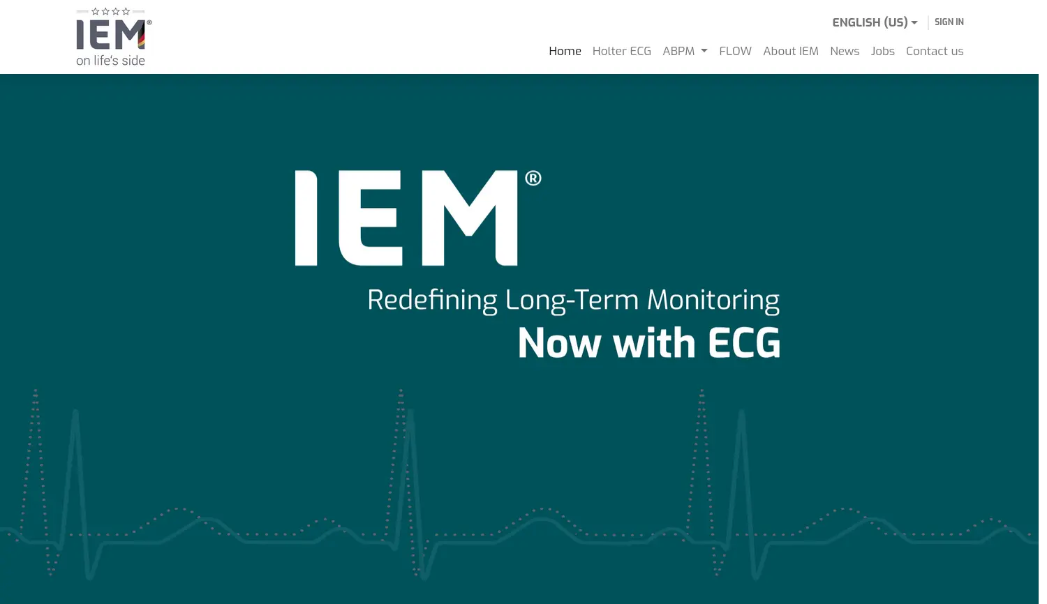 Website-Screenshot von IEM