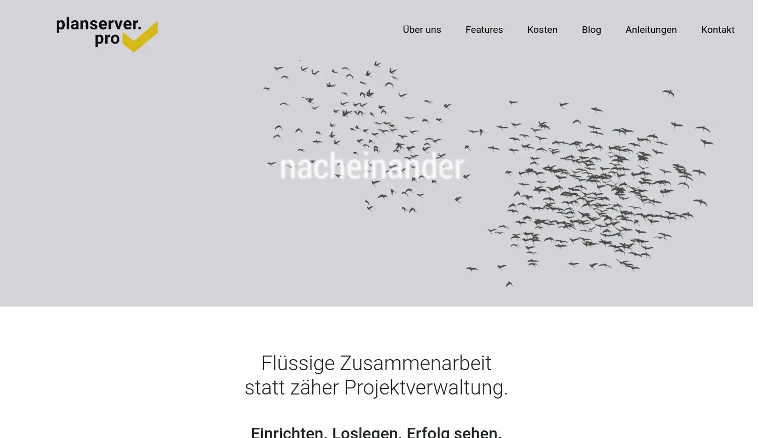 Website-Screenshot von planserver.pro