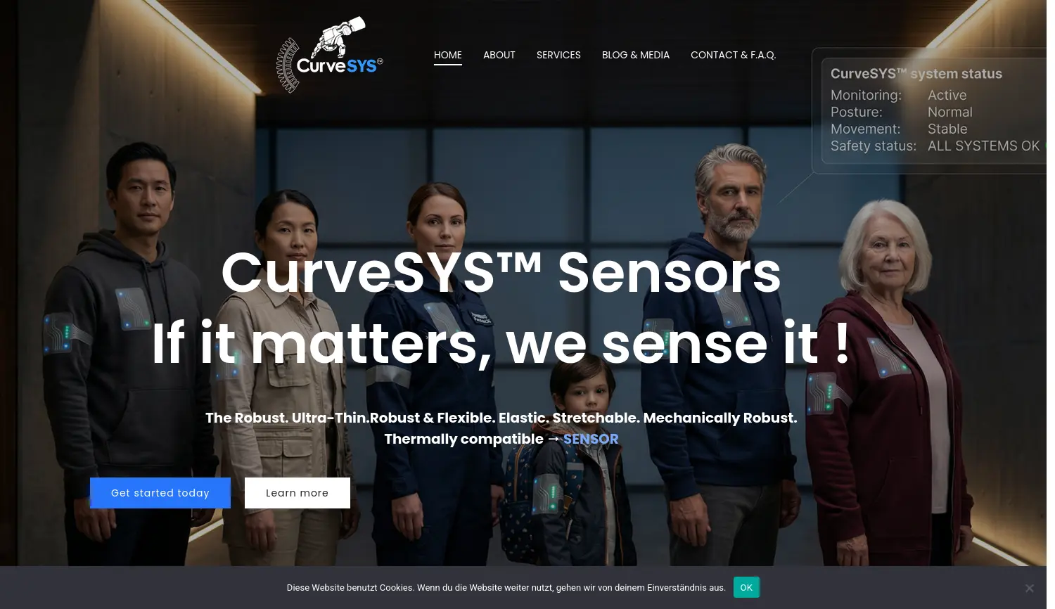 Website-Screenshot von Curvesys