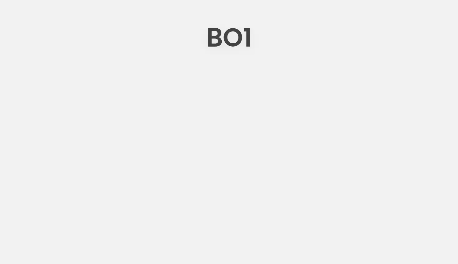 Website-Screenshot von Bo1