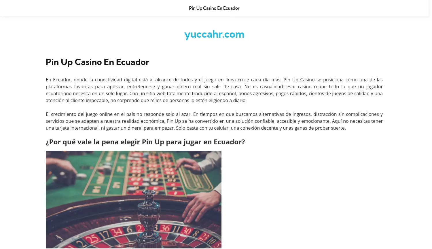 Website-Screenshot von yuccHR