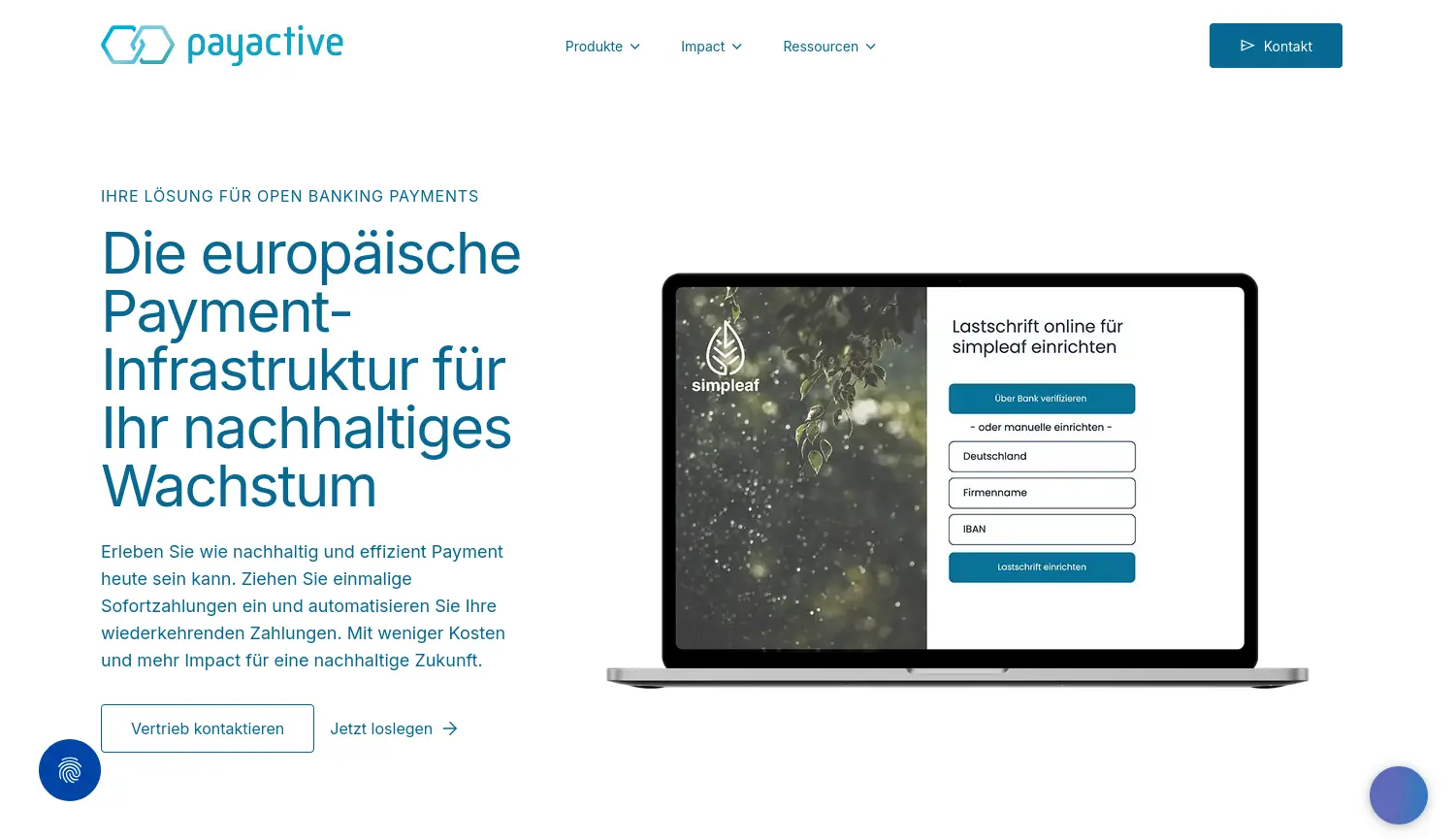 Website-Screenshot von payactive